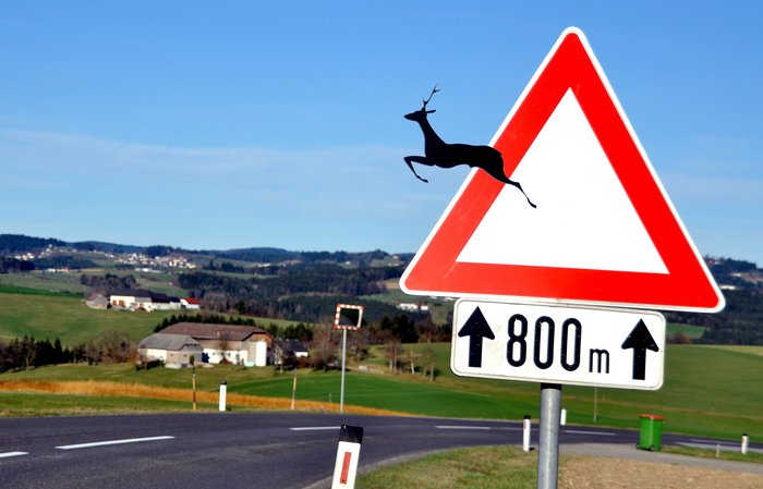 deer-crossing-4933887_1920.jpg